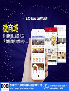 城开发公司电脑图文设计在望牛墩的市场价格分析